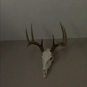 Meet your Posher, Jack